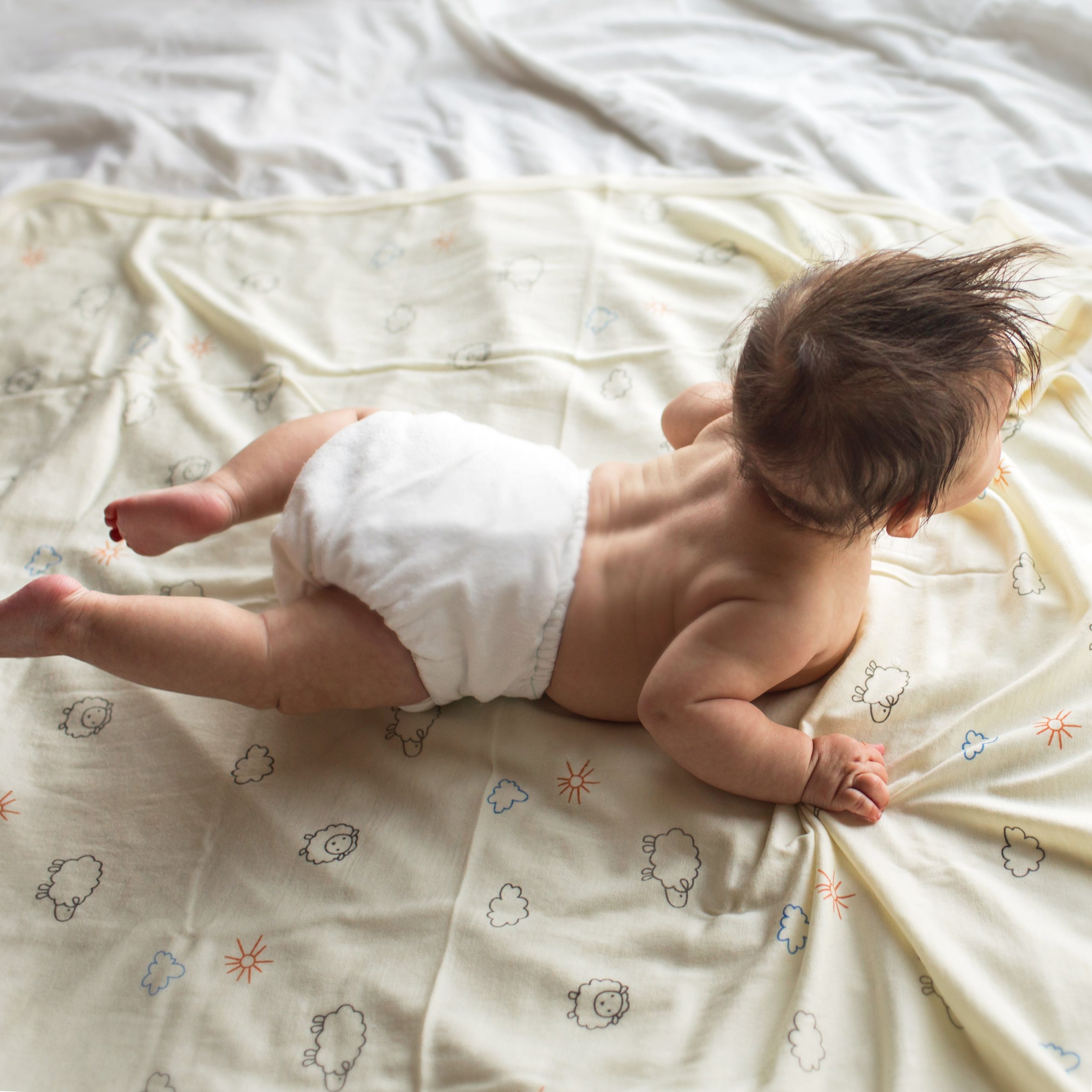 Swaddle Blanket, Merino Wool, Newborn to 3 Months, Sheep - Image 2