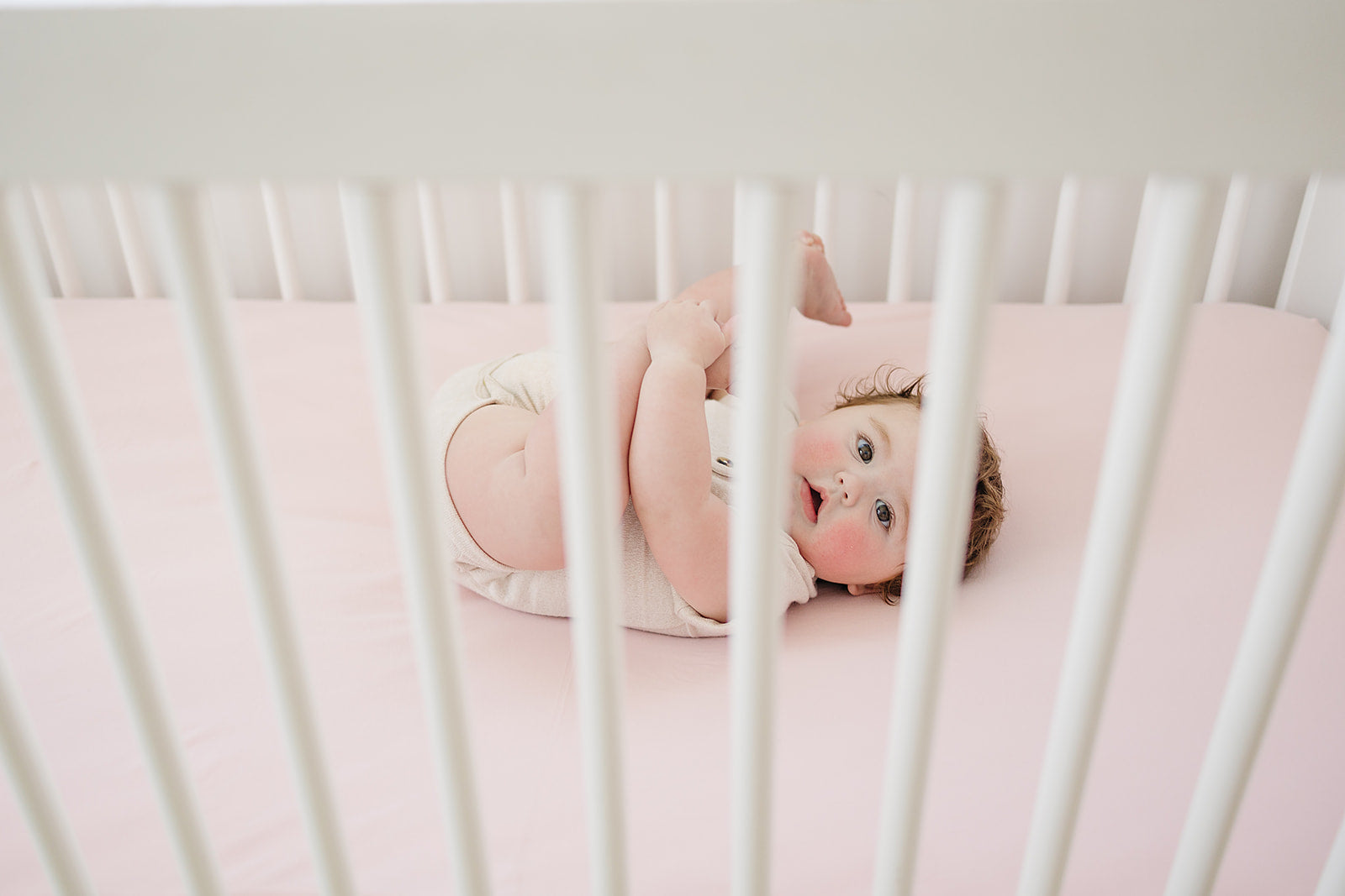 Ecolino Crib Sheet, 100% Organic Cotton, Petal - Image 3